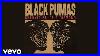 Black Pumas Chronicles Of A Diamond Official Audio